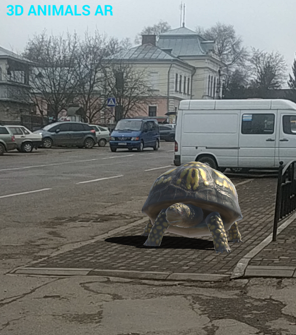 Парковка для авто і... для черепахи? 
