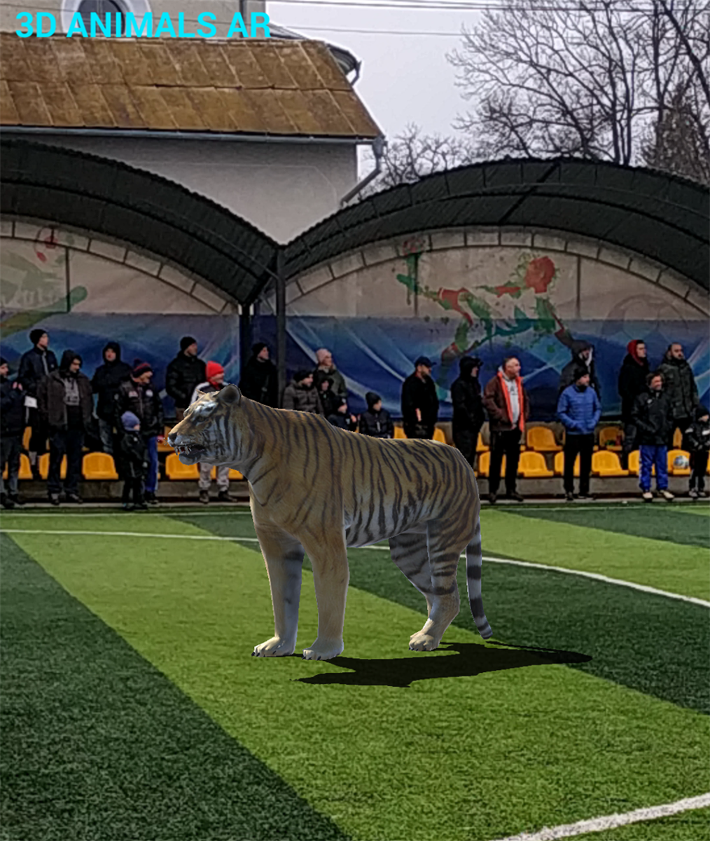 На футбольне поле вийшов тигр.