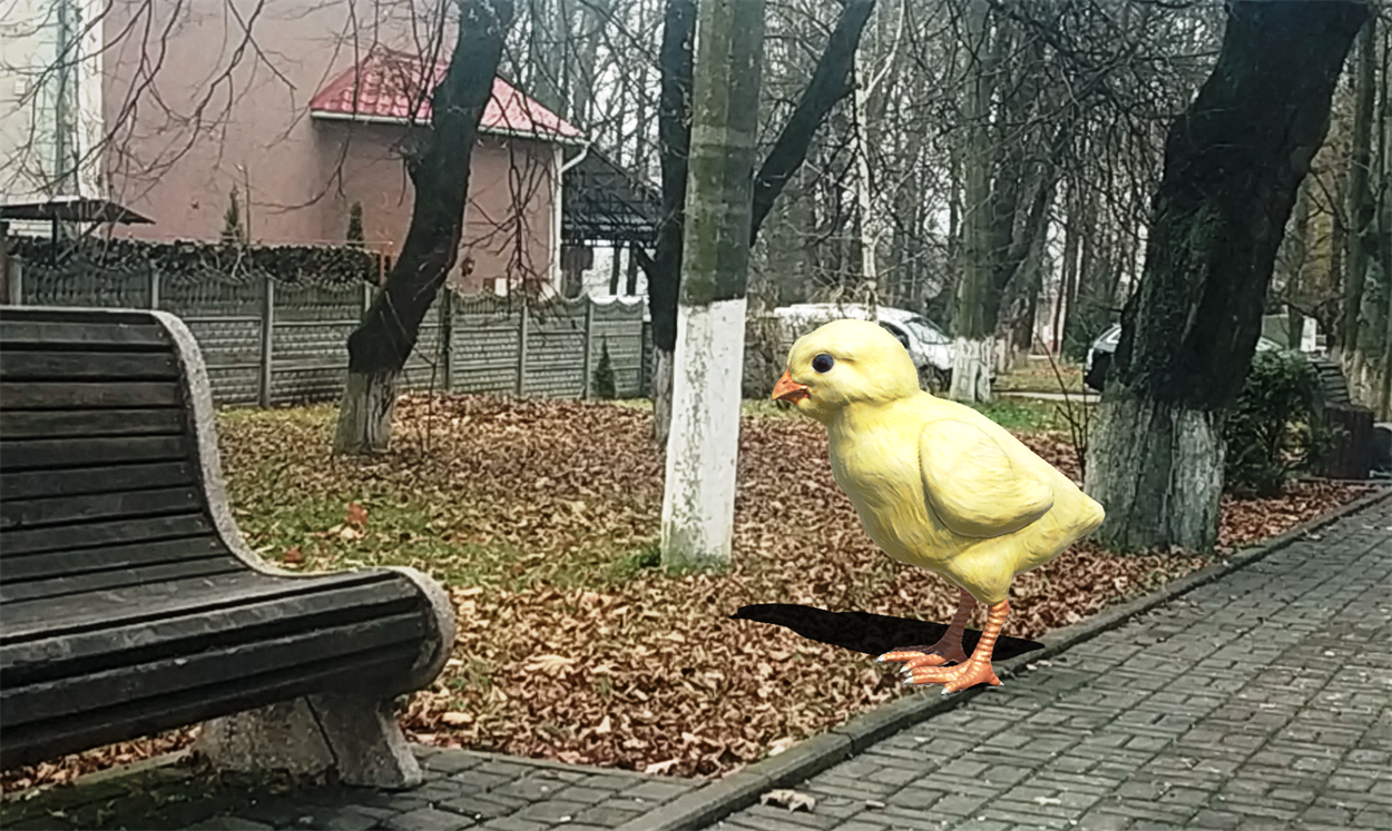 Гігантське курча пришло позбирати зернята, які часто розсипають біля лавочок.