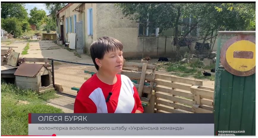 “Українська команда” піариться навіть на безпритульних тваринах. Скриншот: “Чернівецький промінь”

